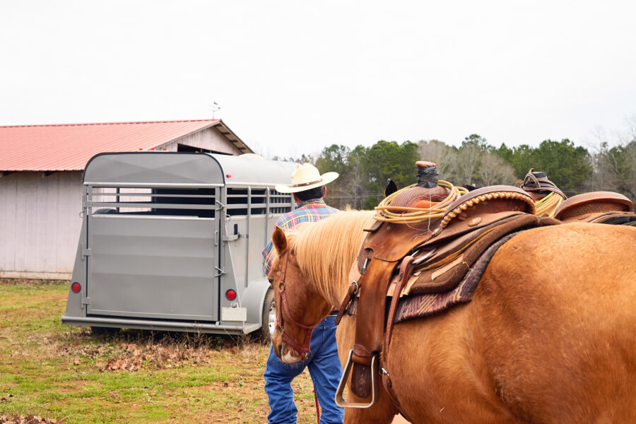 Option - Horse Float Finance